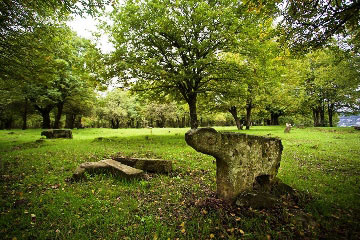 Lankaran & Astara PRIVATE tour
